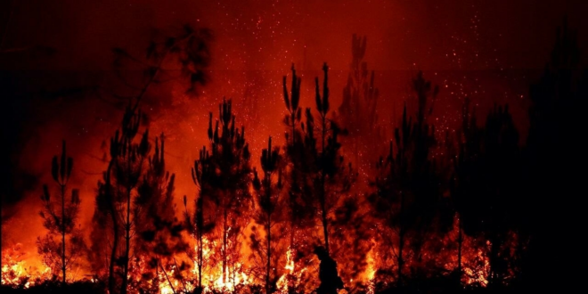 فرنسا تستخدم “منهجية الاستدلال الجنائي العلمي” لمعرفة أسباب حرائق الغابات