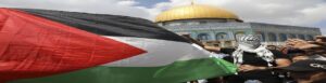 فلسطين | تقارير وتحليلات | مجتمع | اقتصاد | آراء